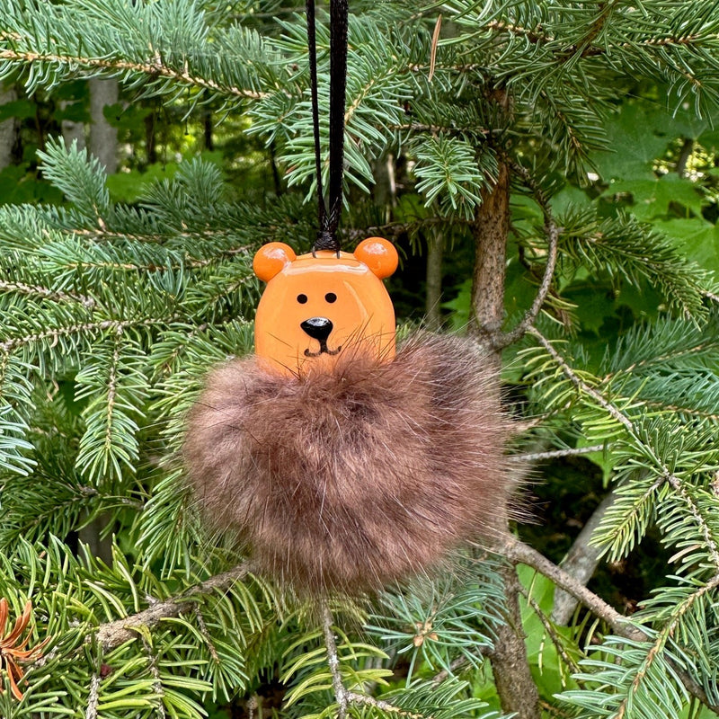 Ours brun Poilu