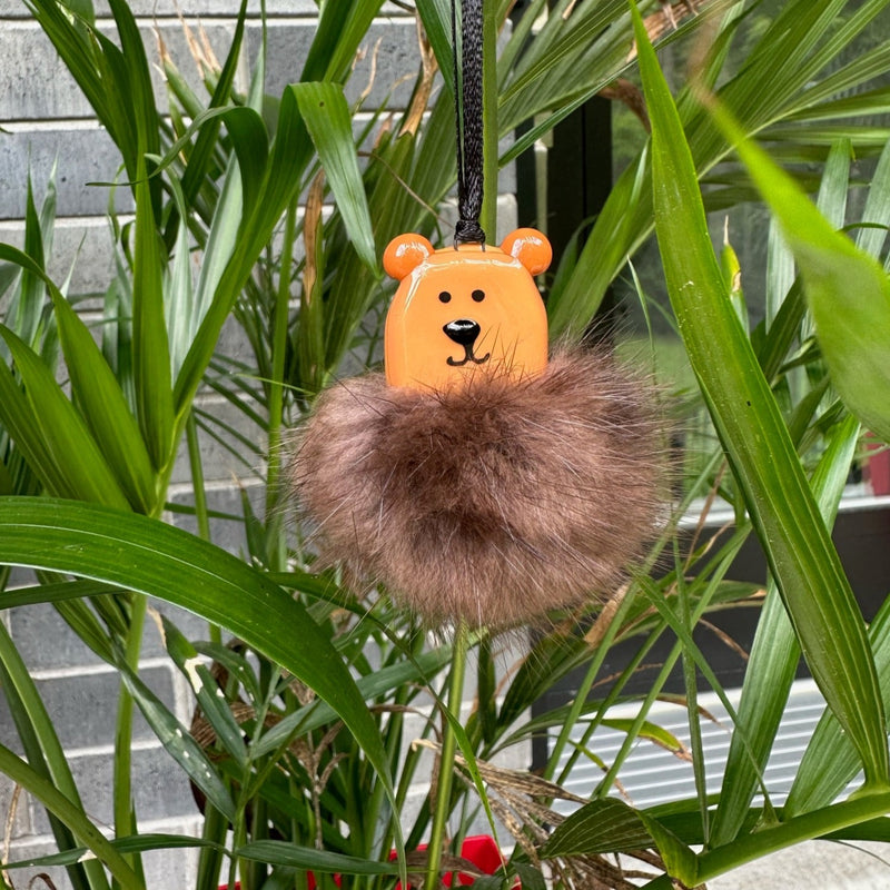 Ours brun Poilu