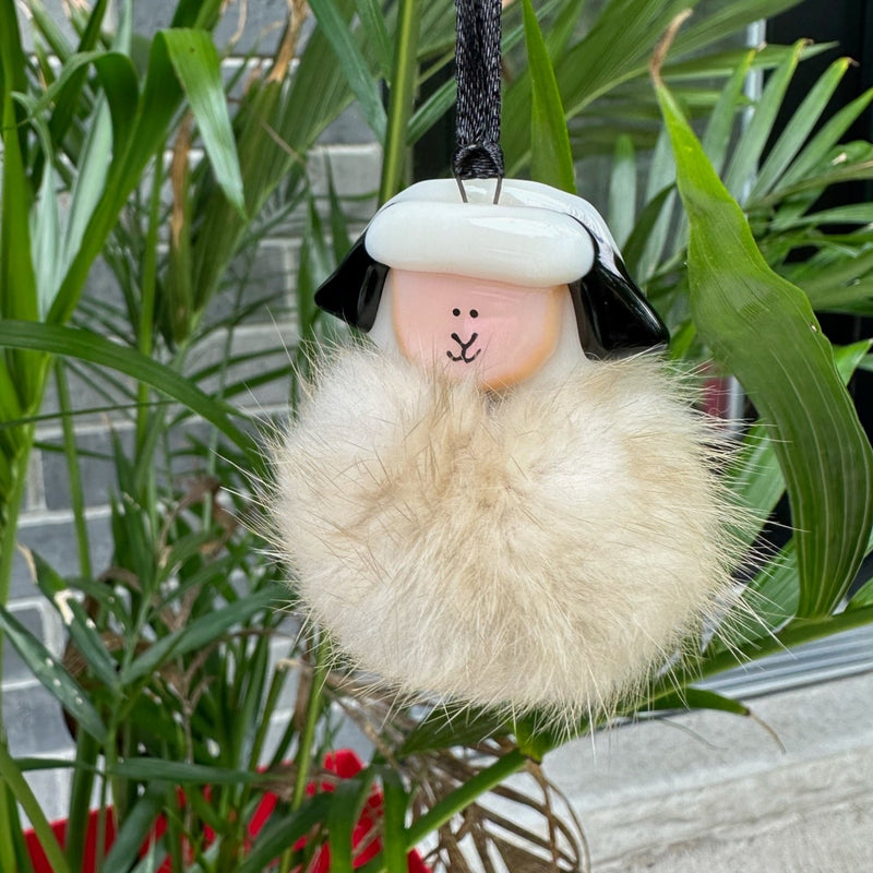 Mouton blanc poilu