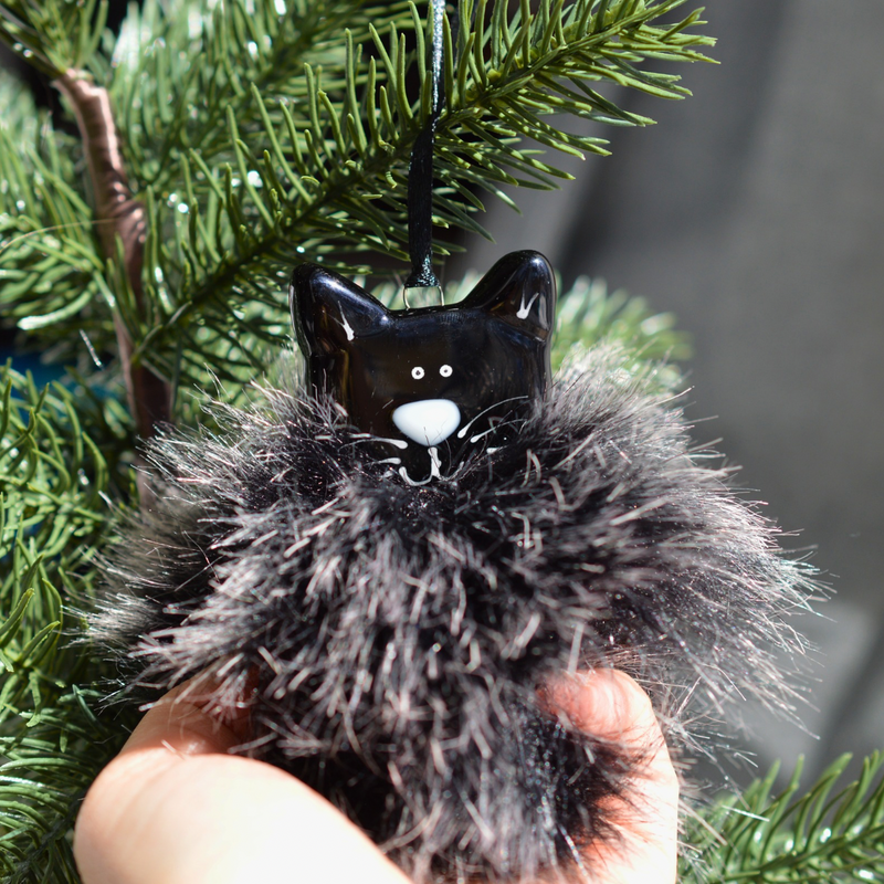 Chat noir poilu
