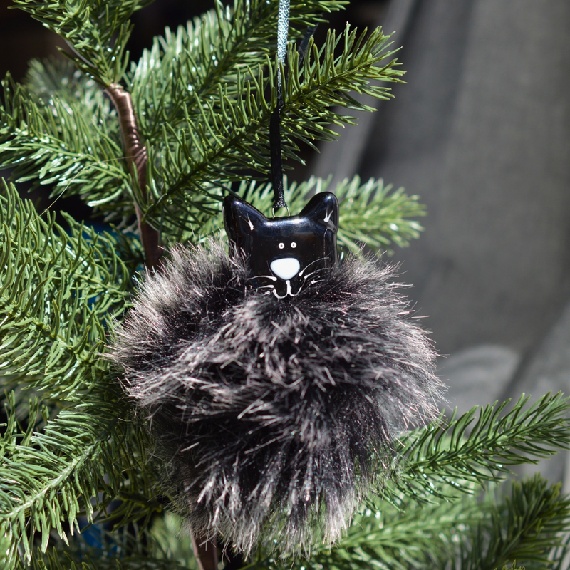 Chat noir poilu