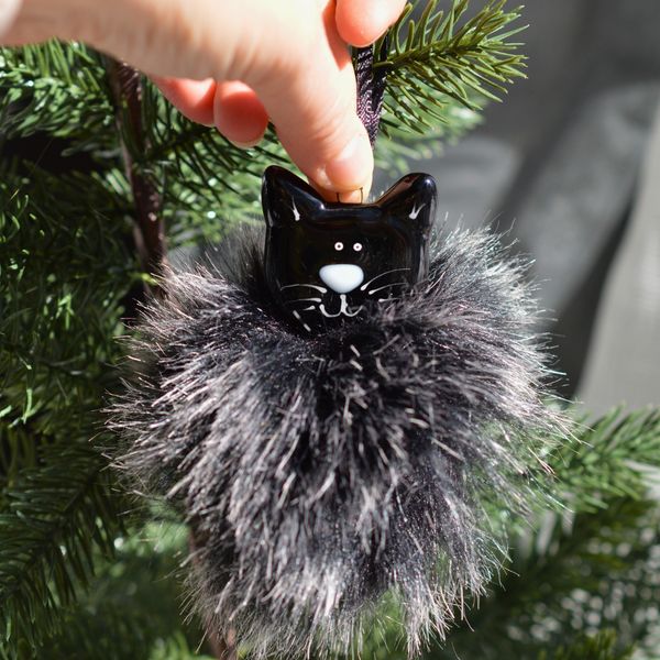 Chat noir poilu