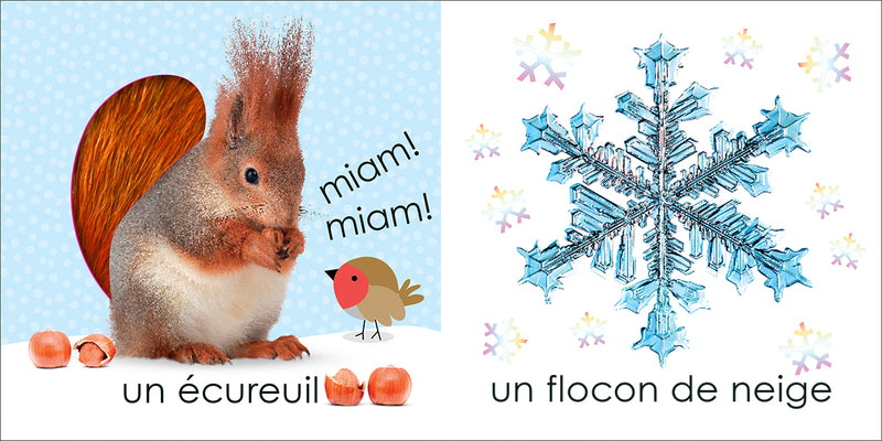 Touche à tout : L'hiver