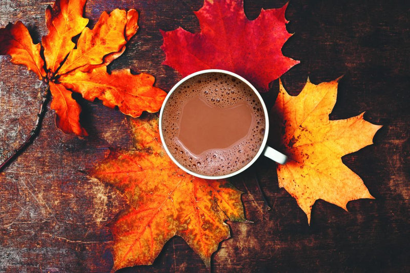 Chocolat chaud à l’érable, feu de camp