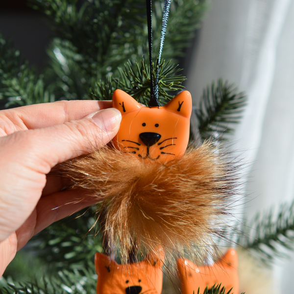 Chat orange poilu