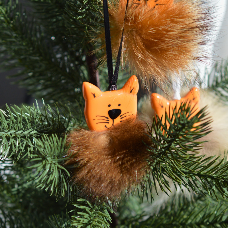 Chat orange poilu