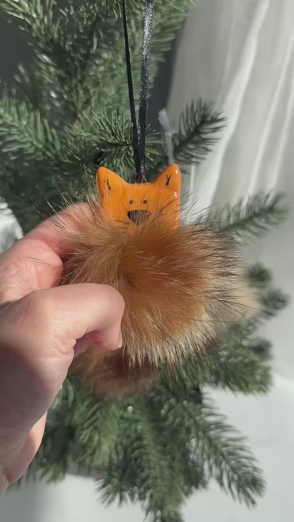 Chat orange poilu