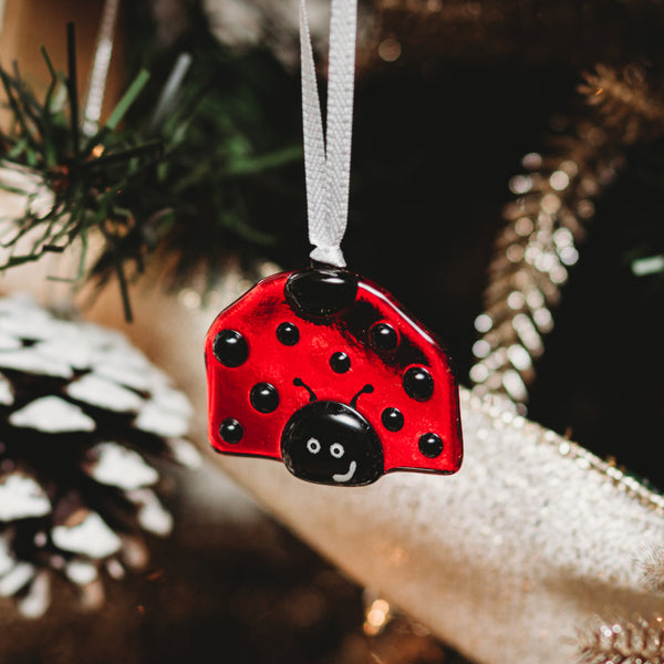 Coccinelle décorative rouge et noire à suspendre transparente capteur de lumière et de soleil